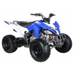 Crossfire Rover 125 125cc Sports Quad Bike - Blue