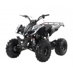 Apollo RFZ Falcon 140cc Sports Quad Bike - Black Apollo RFZ Falcon 140cc Sports Quad Bike - Black