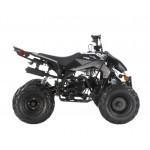 Apollo RFZ Falcon 140cc Sports Quad Bike - Black Apollo RFZ Falcon 140cc Sports Quad Bike - Black