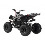 Apollo RFZ Falcon 140cc Sports Quad Bike - Black Apollo RFZ Falcon 140cc Sports Quad Bike - Black