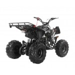 Apollo RFZ Falcon 140cc Sports Quad Bike - Black Apollo RFZ Falcon 140cc Sports Quad Bike - Black