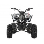 Apollo RFZ Falcon 140cc Sports Quad Bike - Black Apollo RFZ Falcon 140cc Sports Quad Bike - Black