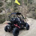 Crossfire Blazer 200R 200cc Go Kart - Red Crossfire Blazer 200R 200cc Go Kart - Red