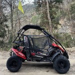 Crossfire Blazer 200R 200cc Go Kart - Red Crossfire Blazer 200R 200cc Go Kart - Red