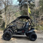 Crossfire Blazer 200R 200cc Go Kart - Black Crossfire Blazer 200R 200cc Go Kart - Black