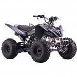 Crossfire Rover 125 125cc Sports Quad Bike - Black Crossfire Rover 125 125cc Sports Quad Bike - Black