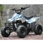 MW 110cc Sports Quad Bike - Blue MW 110cc Sports Quad Bike - Blue