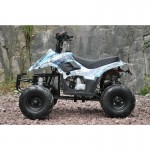MW 110cc Sports Quad Bike - Blue MW 110cc Sports Quad Bike - Blue