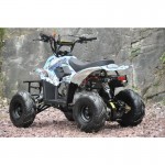 MW 110cc Sports Quad Bike - Blue MW 110cc Sports Quad Bike - Blue