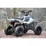 MW 110cc Sports Quad Bike - Blue MW 110cc Sports Quad Bike - Blue