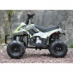 MW 110cc Sports Quad Bike - Green MW 110cc Sports Quad Bike - Green