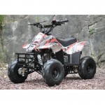 MW 110cc Sports Quad Bike - Red MW 110cc Sports Quad Bike - Red