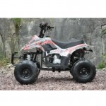 MW 110cc Sports Quad Bike - Red MW 110cc Sports Quad Bike - Red