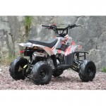 MW 110cc Sports Quad Bike - Red MW 110cc Sports Quad Bike - Red
