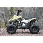 MW 110cc Sports Quad Bike - Yellow MW 110cc Sports Quad Bike - Yellow