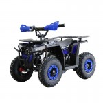 MW 1000W Electric Farm Quad Bike - Blue