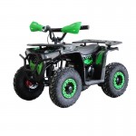 MW 1000W Electric Farm Quad Bike - Green