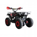 MW 1000W Electric Farm Quad Bike - Red