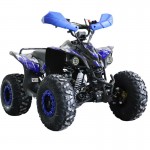 MW 125cc Sports Pro Quad Bike - Blue MW 125cc Sports Pro Quad Bike - Blue