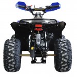 MW 125cc Sports Pro Quad Bike - Blue MW 125cc Sports Pro Quad Bike - Blue