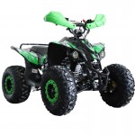 MW 125cc Sports Pro Quad Bike - Green MW 125cc Sports Pro Quad Bike - Green