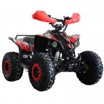 MW 125cc Sports Pro Quad Bike - Red