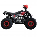 MW 125cc Sports Pro Quad Bike - Red