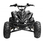 GMX The Beast Black 125cc SPORTS Quad Bike