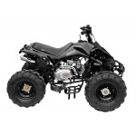 GMX The Beast Black 125cc SPORTS Quad Bike