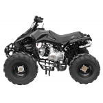 GMX The Beast Black 125cc SPORTS Quad Bike