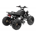 GMX The Beast Black 125cc SPORTS Quad Bike