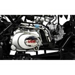 GMX The Beast Black 125cc SPORTS Quad Bike