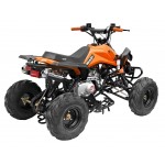 GMX The Beast Orange 110cc SPORTS Quad Bike