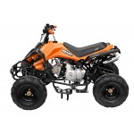 GMX The Beast Orange 110cc SPORTS Quad Bike