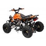 GMX The Beast Orange 110cc SPORTS Quad Bike