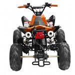 GMX The Beast Orange 110cc SPORTS Quad Bike