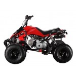 GMX The Beast Red 110cc SPORTS Quad Bike