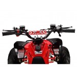 GMX The Beast Red 110cc SPORTS Quad Bike