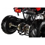 GMX The Beast Red 110cc SPORTS Quad Bike