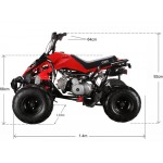 GMX The Beast Red 110cc SPORTS Quad Bike