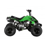 GMX The Beast Green 110cc SPORTS Quad Bike