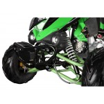 GMX The Beast Green 110cc SPORTS Quad Bike