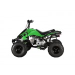 GMX The Beast Green 110cc SPORTS Quad Bike