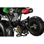 GMX The Beast Green 110cc SPORTS Quad Bike