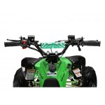 GMX The Beast Green 110cc SPORTS Quad Bike