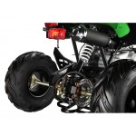 GMX The Beast Green 110cc SPORTS Quad Bike