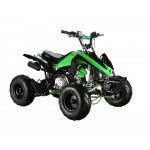 GMX The Beast Green 110cc SPORTS Quad Bike