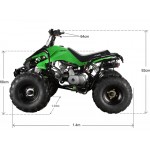 GMX The Beast Green 110cc SPORTS Quad Bike