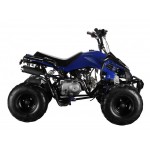 GMX The Beast Blue 110cc SPORTS Quad Bike