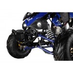 GMX The Beast Blue 110cc SPORTS Quad Bike